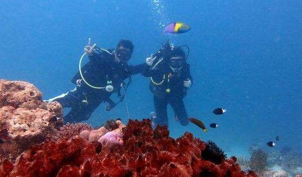 两岸企业协同合作竞逐汽车产业新赛道